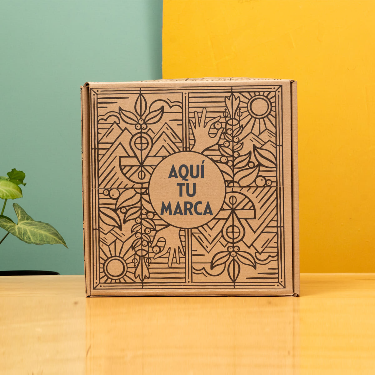 caja cuadrada - Combo tripack, prensa, cuchara y vasos